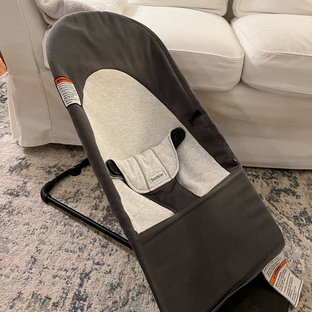 Baby Bjorn Bouncer